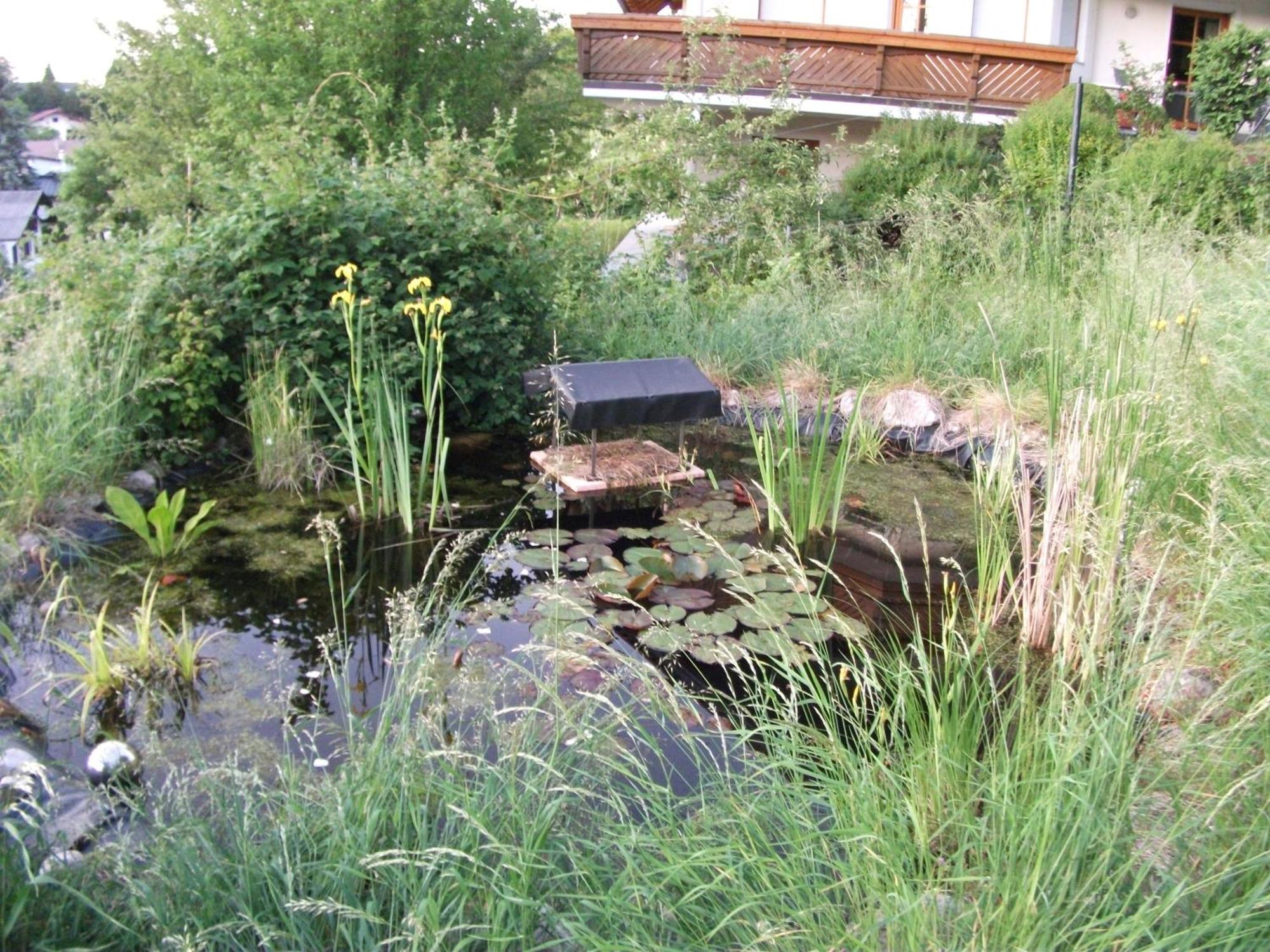 Ferienwohnung Krottensee Gmunden Εξωτερικό φωτογραφία